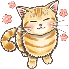 [LINEスタンプ] やさしい猫のポップアップ 6☆デフォルト風