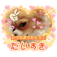 [LINEスタンプ] むくのスタンプ！