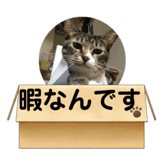 [LINEスタンプ] るーにーの日常会話