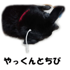 [LINEスタンプ] やっくんとちび