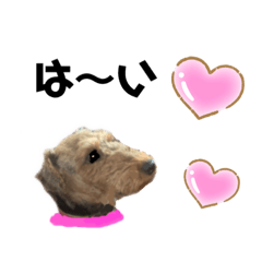 [LINEスタンプ] ウェルシュテリア ♡ジェリーさんの1日(21)