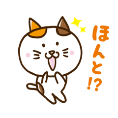 [LINEスタンプ] ねことねことねことねこの日常