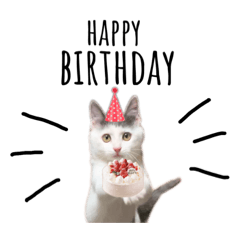 [LINEスタンプ] ねこ ねこ ねこ 2