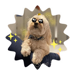 [LINEスタンプ] 我が家のレモンたん