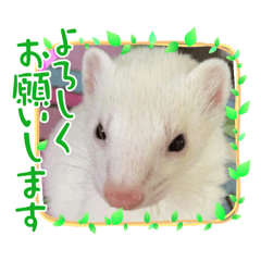 [LINEスタンプ] くぅーちゃん大好き♡