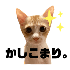 [LINEスタンプ] ツカメロすたんぷ。