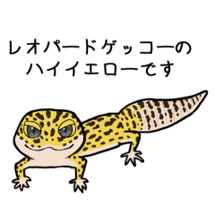 [LINEスタンプ] ハイイエローのレオパ