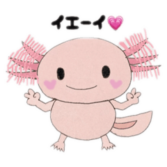 [LINEスタンプ] ウーパールーパーのゆる〜いスタンプ3