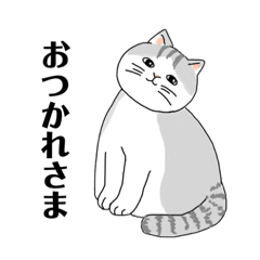 [LINEスタンプ] しましまシッポのねこ 日常会話