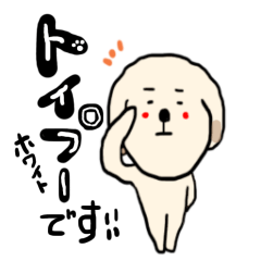 [LINEスタンプ] トイプードルホワイトの癒しの日常