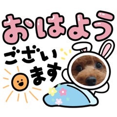 [LINEスタンプ] くぅ。のスタンプ