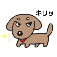 [LINEスタンプ] テカテカおちょさん1