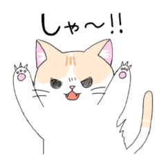 [LINEスタンプ] マンチカンのシロちゃん2