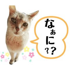 [LINEスタンプ] ソラとゆず