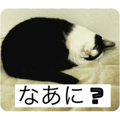 [LINEスタンプ] マイケル/ジャクソンスタンプの画像（メイン）