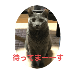 [LINEスタンプ] ぼんはる