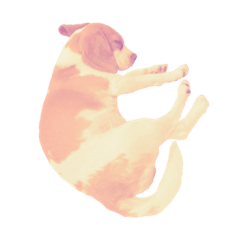 [LINEスタンプ] lemonbeagle2