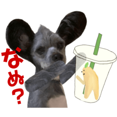 [LINEスタンプ] モヒカン犬ちびロアとバナーナ