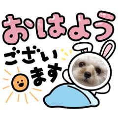 [LINEスタンプ] 愛犬エイト♡No.4