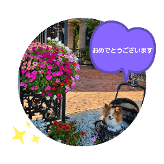[LINEスタンプ] ぱぴぱぴパピヨン39