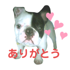 [LINEスタンプ] オイルのスタンプ