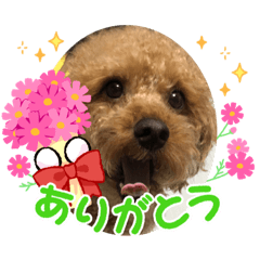 [LINEスタンプ] かわいすぎーー！！わらわら