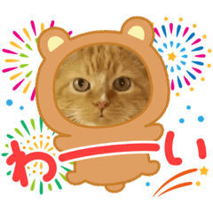 [LINEスタンプ] トラとの幸せライフ4“