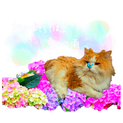 [LINEスタンプ] ろんろんとらぐちゃん