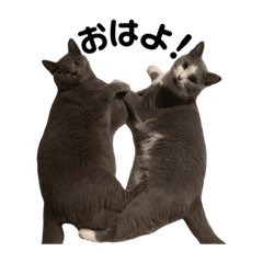 [LINEスタンプ] ムロとウリ④