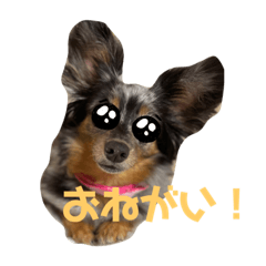 [LINEスタンプ] めるろーず2