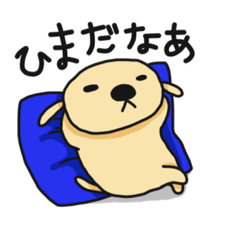 [LINEスタンプ] 可愛い犬の生活。