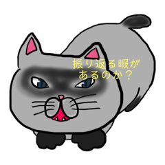 [LINEスタンプ] ペットが教えてくれること