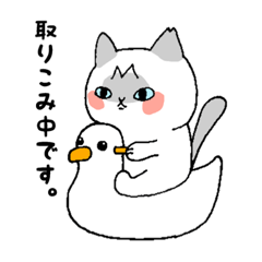 [LINEスタンプ] さくら猫ほっこり日常