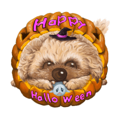 [LINEスタンプ] トイプードルこむぎ  Happy Halloween