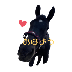 [LINEスタンプ] Dizechan