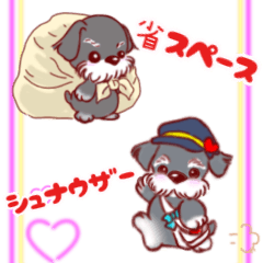 [LINEスタンプ] 省スペースシュナウザー