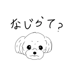 [LINEスタンプ] 愛犬チワマル✖︎新潟弁