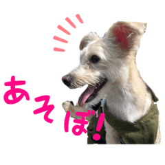 [LINEスタンプ] 瑠一の日常。#1
