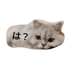 [LINEスタンプ] おーちゃん＆こま