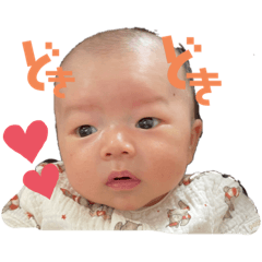 [LINEスタンプ] るかくんスタンプ（2ヶ月まで）