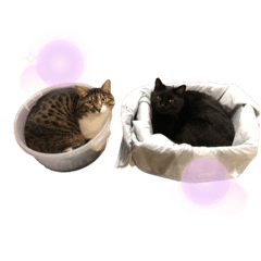 [LINEスタンプ] クーロン＆ブルース⑤