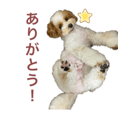 [LINEスタンプ] おっとりハチミツ