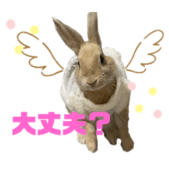 [LINEスタンプ] むぎChannel with Hop 1