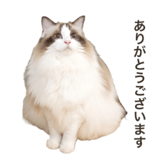 [LINEスタンプ] ふわららスタンプ2