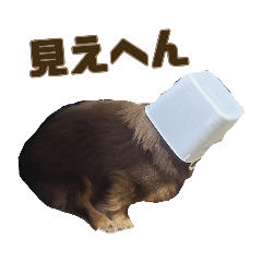 [LINEスタンプ] もっとがんばるちむ