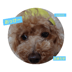 [LINEスタンプ] くるくるるーく