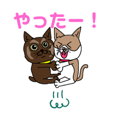 [LINEスタンプ] 猫のくぅとちぃ