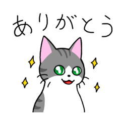 [LINEスタンプ] めちゃくちゃ使いやすい猫のスタンプ
