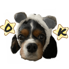 [LINEスタンプ] びびりなそらさん