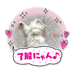 [LINEスタンプ] ペルシャ猫とスコちゃんです